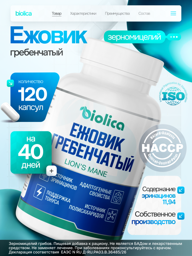 Ежовик гребенчатый