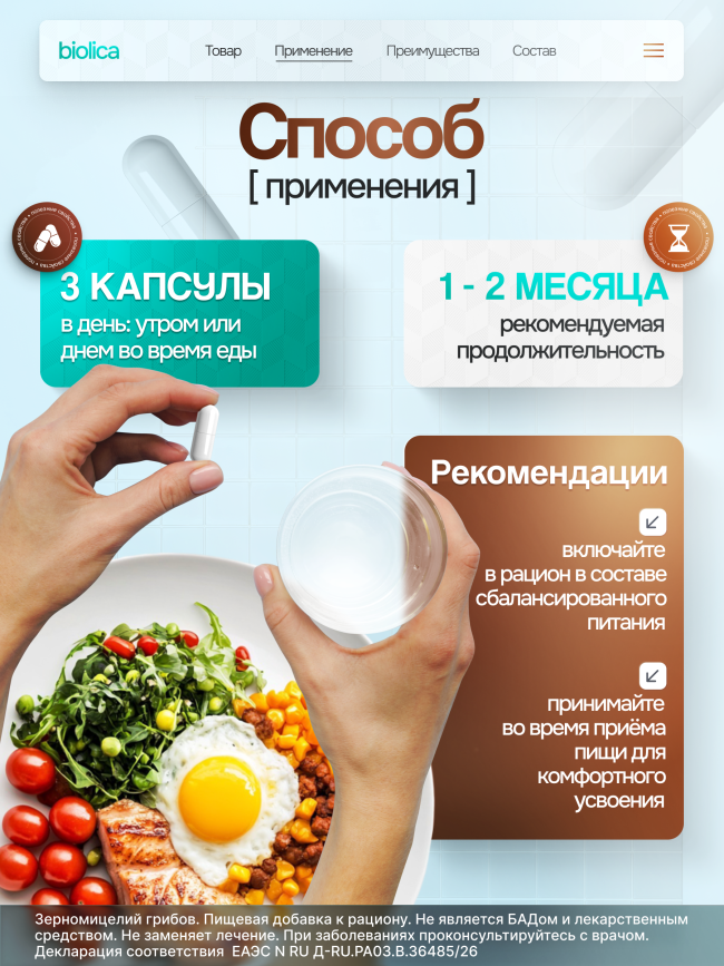 Чага берёзовая