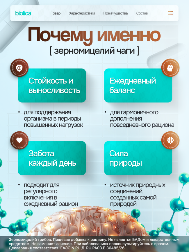 Чага берёзовая