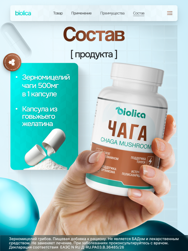 Чага берёзовая