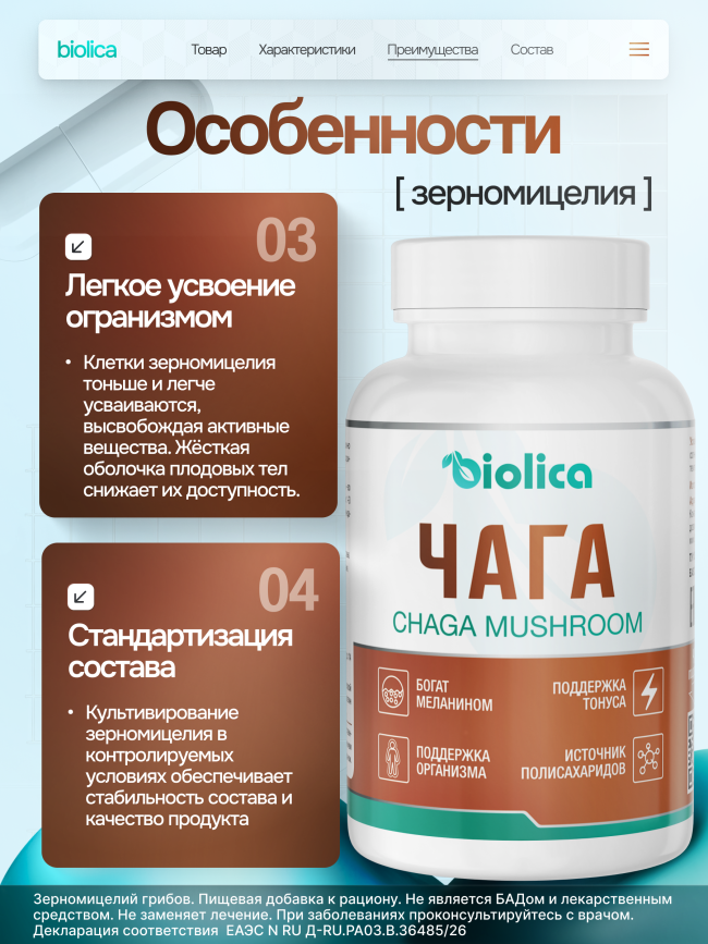 Чага берёзовая
