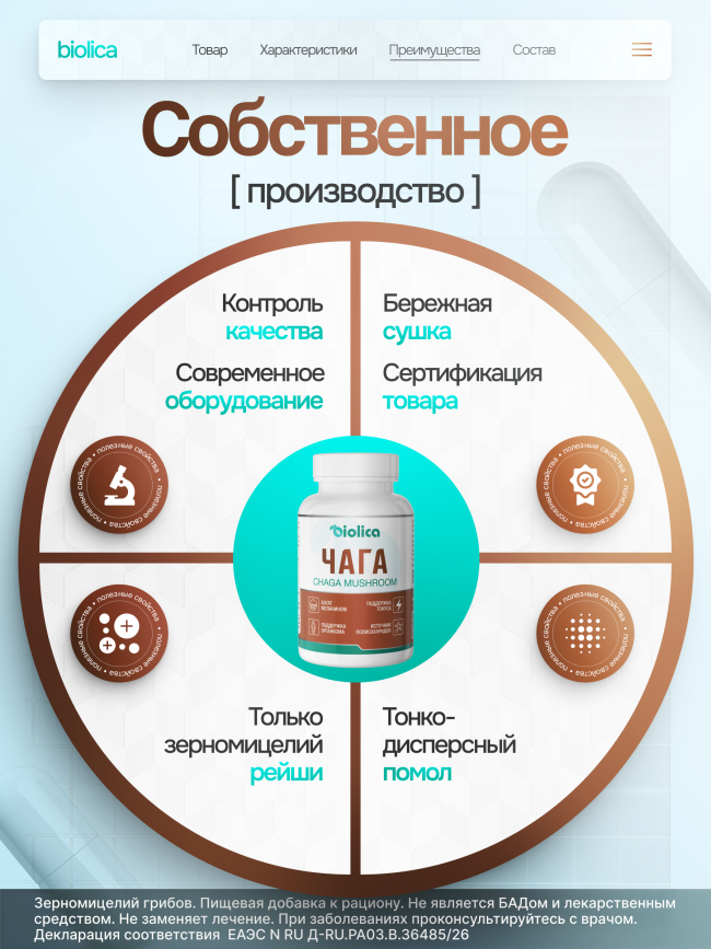Чага берёзовая